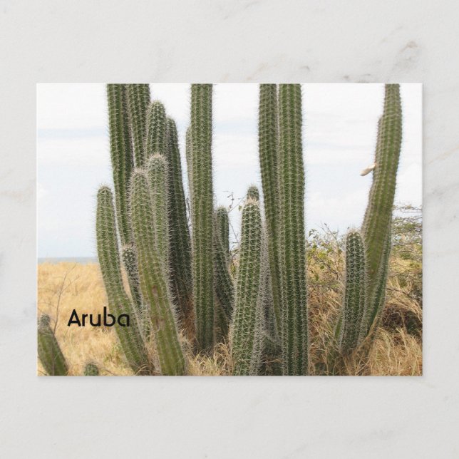 Customise Product Postcard (Front)