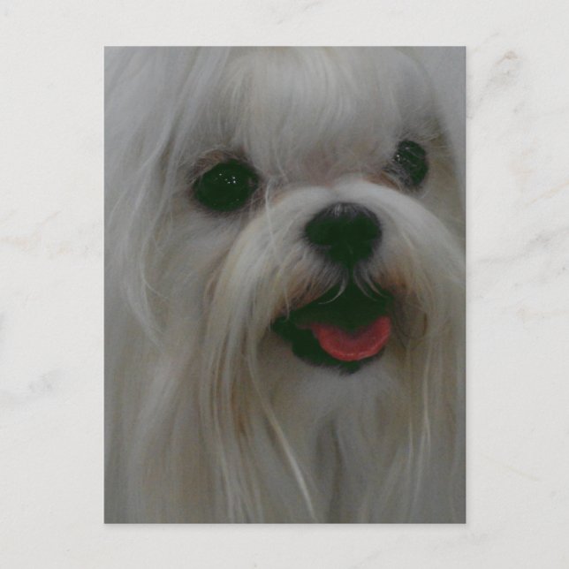 Customise Product Postcard (Front)