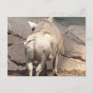 Customise Product Postcard