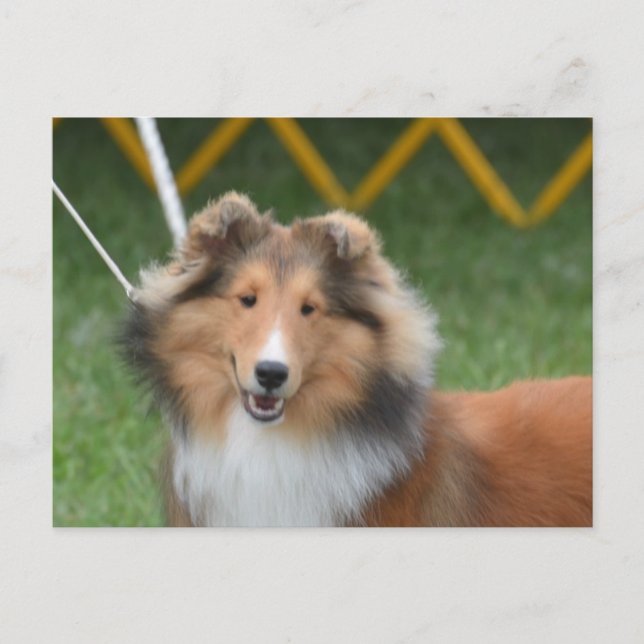 Customise Product Postcard (Front)