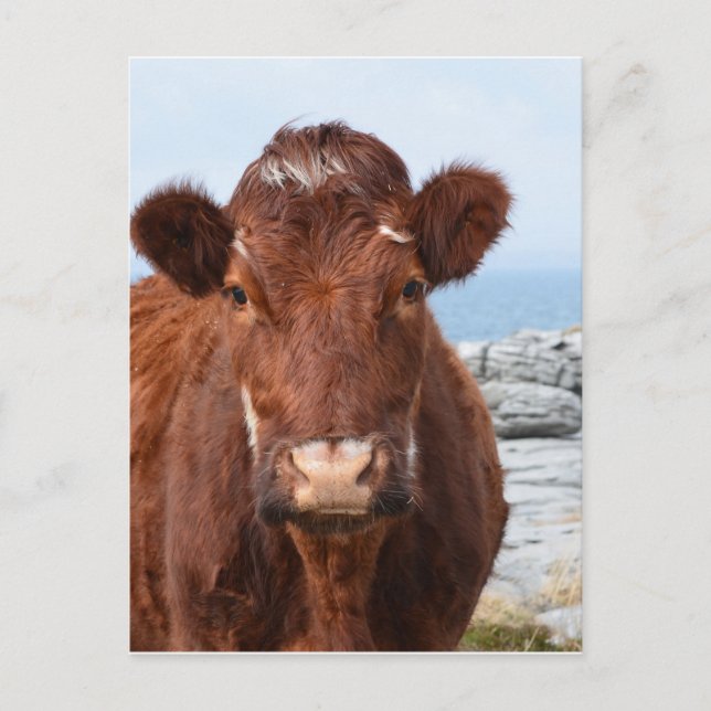 Customise Product Postcard (Front)