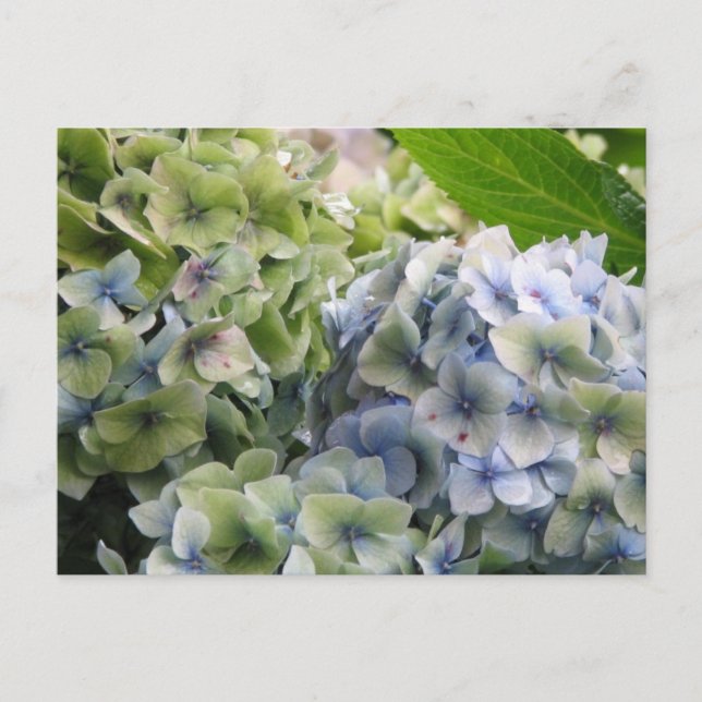 Customise Product Postcard (Front)