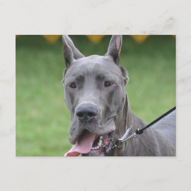 Customise Product Postcard (Front)