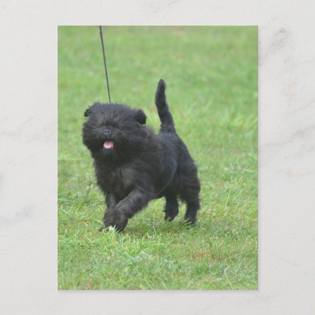 Customise Product Postcard (Front)