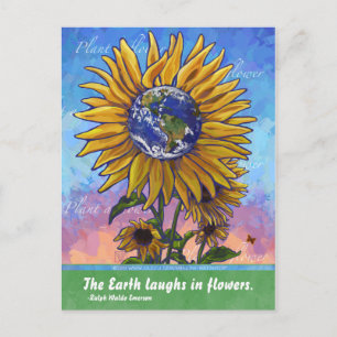 Customise Product Postcard