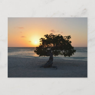 Customise Product Postcard