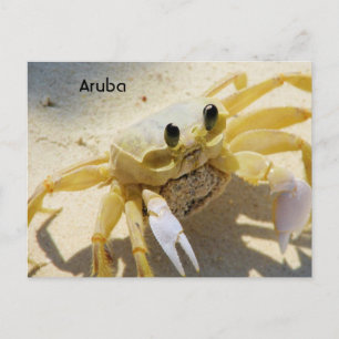 Customise Product Postcard