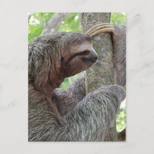 Customise Product Postcard