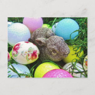 Customise Product Postcard