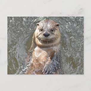 Customise Product Postcard