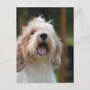 Customise Product Postcard