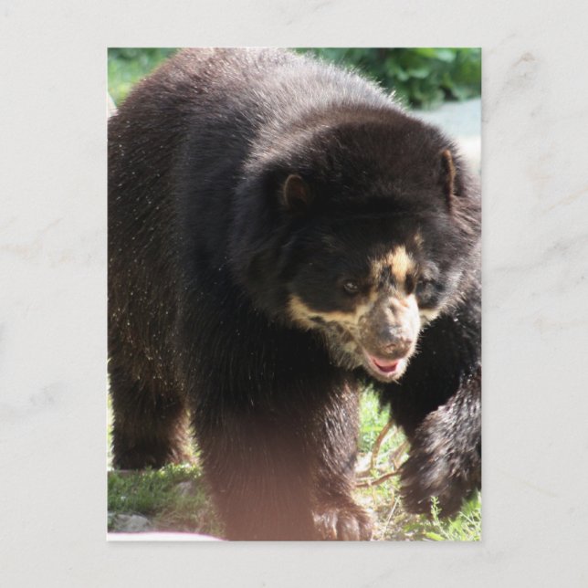 Customise Product Postcard (Front)