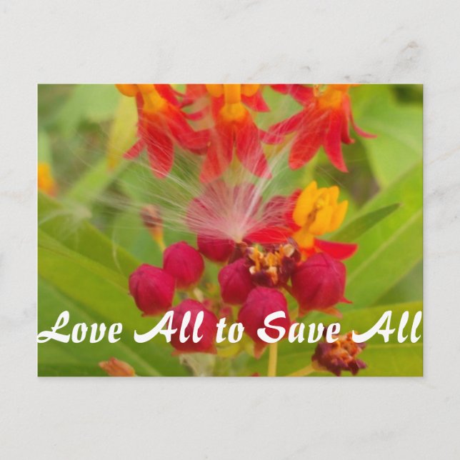 Customise Product Postcard (Front)