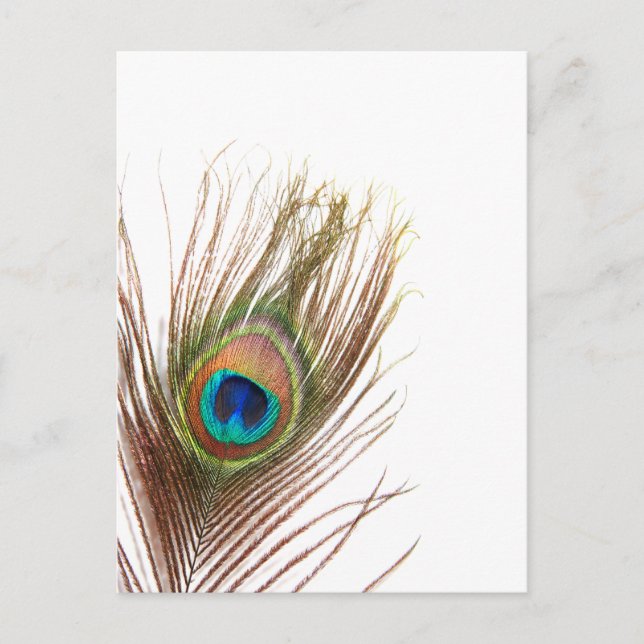 Customise Product Postcard (Front)