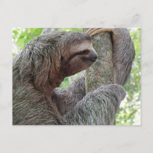 Customise Product Postcard