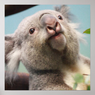 Customise Product Poster