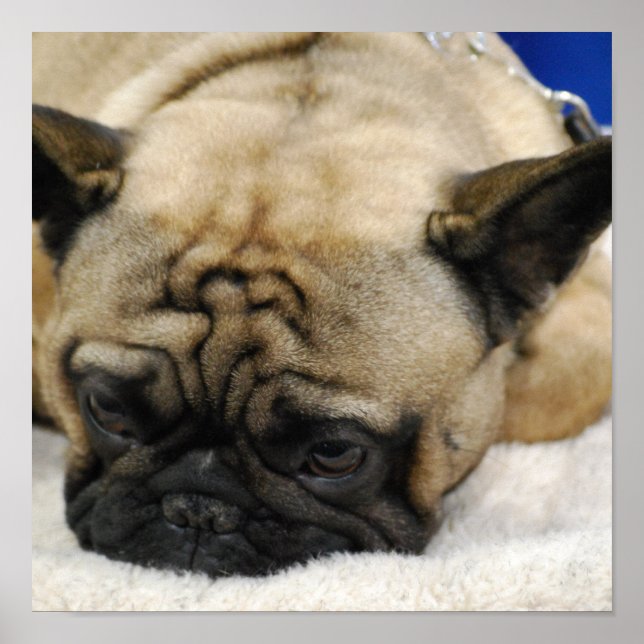 Customise Product Poster (Front)