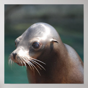 Customise Product Poster