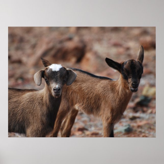 Customise Product Poster (Front)