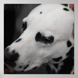 Customise Product Poster