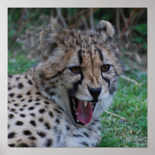 Customise Product Poster