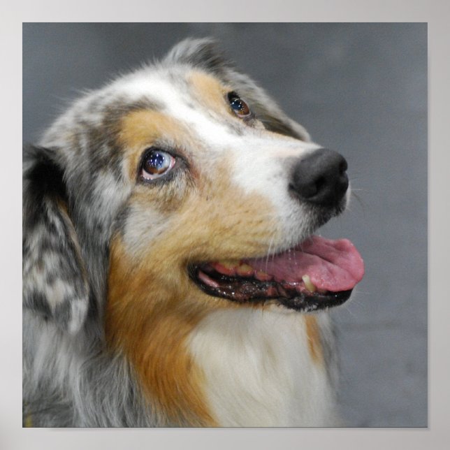 Customise Product Poster (Front)