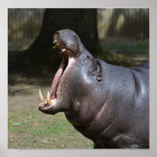 Customise Product Poster