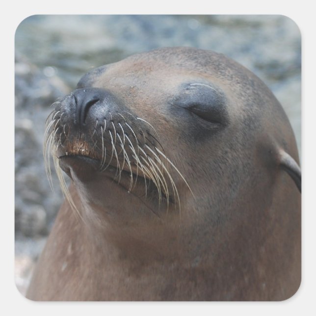 Customise Product Square Sticker (Front)