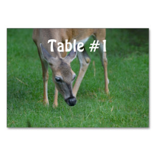Customise Product Table Number