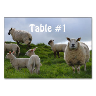 Customise Product Table Number