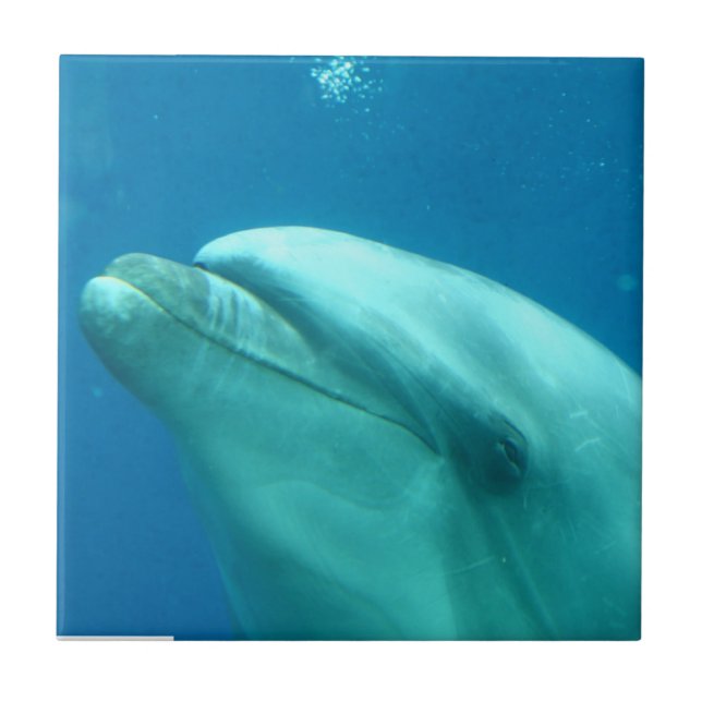 Customise Product Tile (Front)