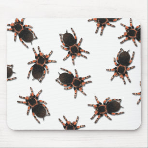 Customise Tarantulas Mouse Mat