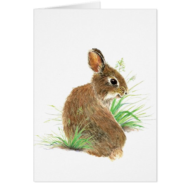 Customise this Curious Rabbit, Watercolor Animal (Front)