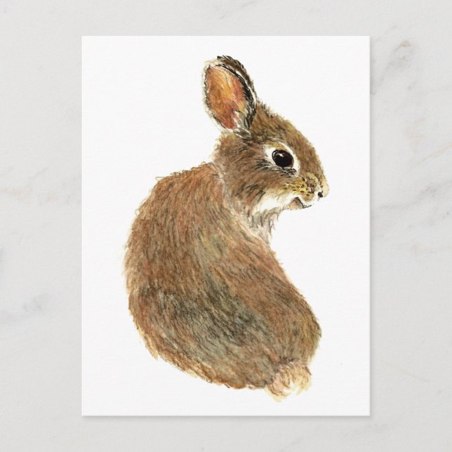 Customise this Curious Rabbit, Watercolor Animal Postcard (Front)