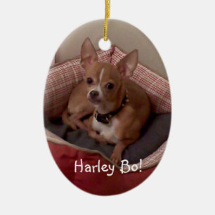 customise w/special photo Christmas Tree Ornaments