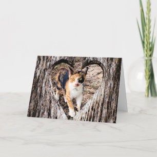 Customise with Your Own Pic!   Card