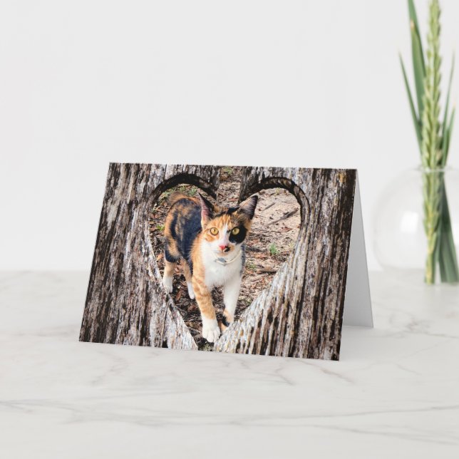 Customise with Your Own Pic!   Card (Front)