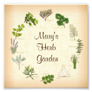 Customise Your Herb Garden Photo Print