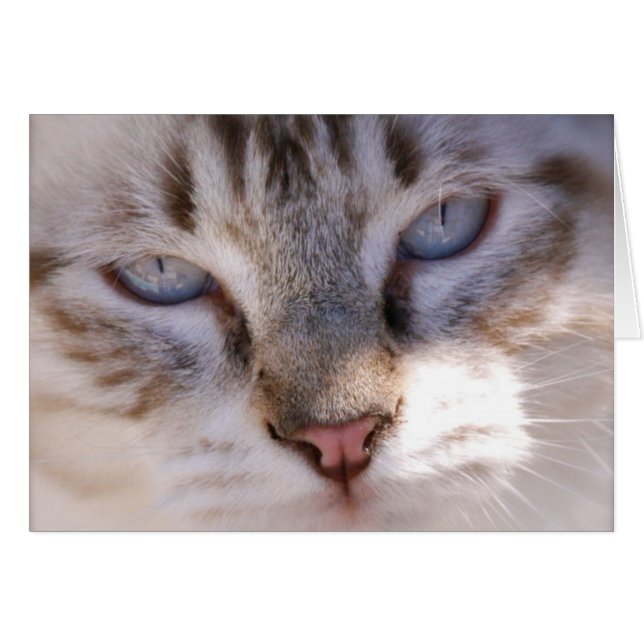 Customise your Own Pet Card (Front Horizontal)