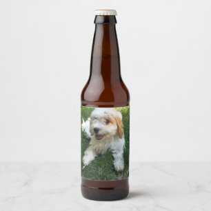 Customised Cavachon Photo, Dog Beer Bottle Label