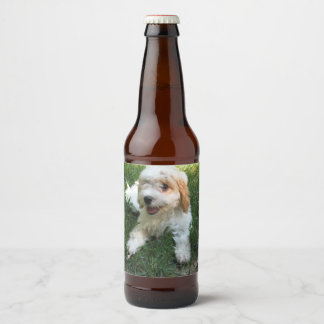 Customised Cavachon Photo, Dog Beer Bottle Label