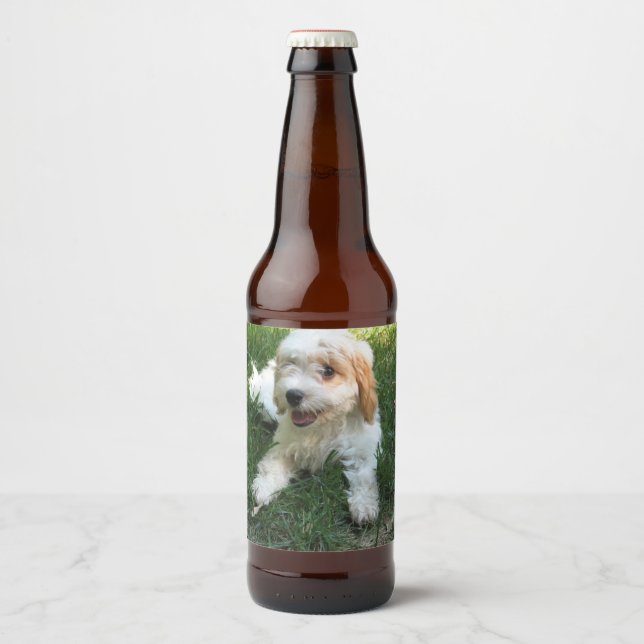 Customised Cavachon Photo, Dog Beer Bottle Label (Front)