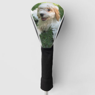 Customised Cavachon Photo, Dog Golf Head Cover