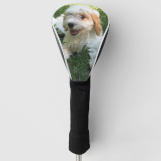 Customised Cavachon Photo, Dog Golf Head Cover