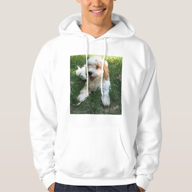 Customised Cavachon Photo, Dog Hoodie (Front)
