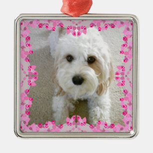 Cavachon Gifts on Zazzle UK