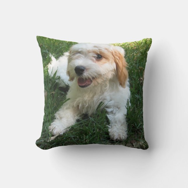 Customised Cavachon Photo Pillow, Dog Cushion (Front)