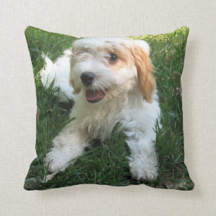 Customised Cavachon Photo Pillow, Dog Cushion