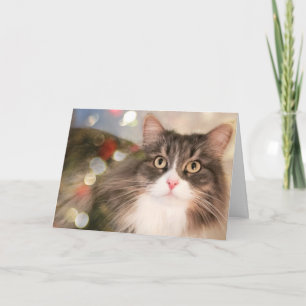 Customised Christmas Cat Holiday Card