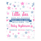 customised Gender reveal party sign boy or girl